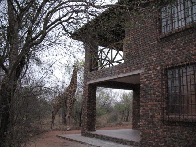 Crowe'S Nest Villa Marloth Park Kültér fotó